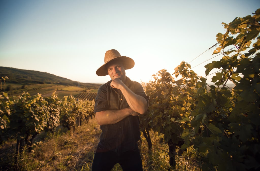 Mann im Weingut