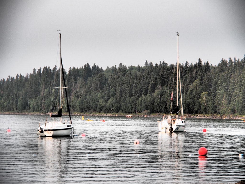 Den Clear Lake kann man per Kanu, Ausflugsboot, Tretboot oder mit dem Segelboot erkunden.