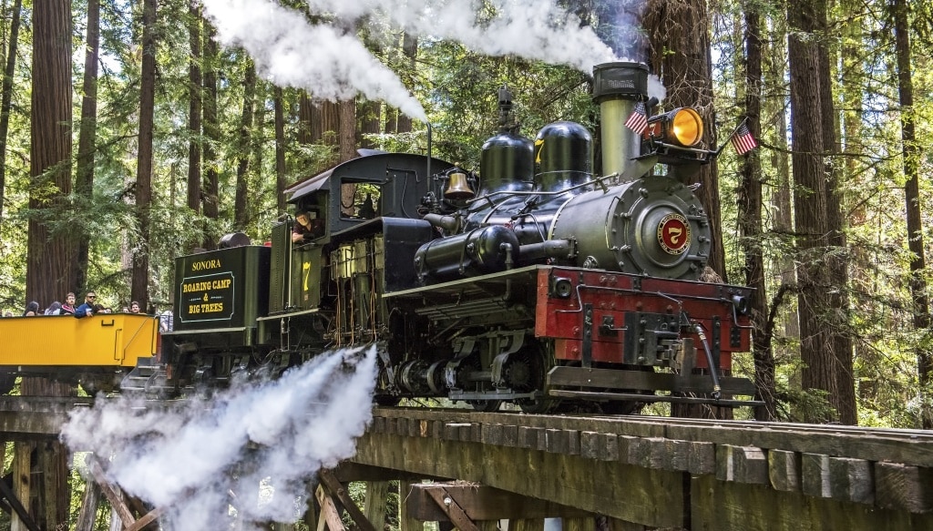 Roaring Camp Railroads