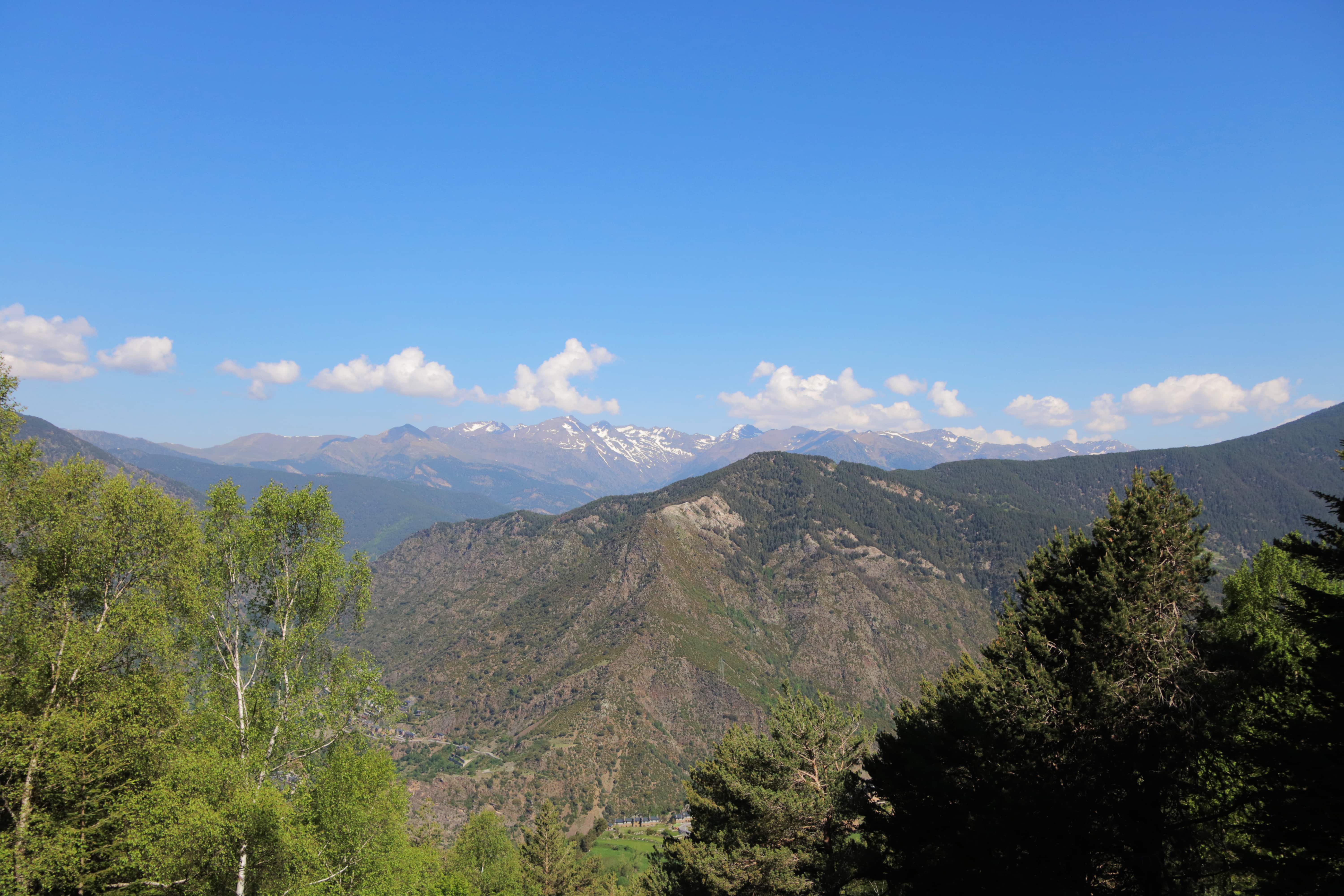 Berglandschaft mit Fichten und blauem Himmel 