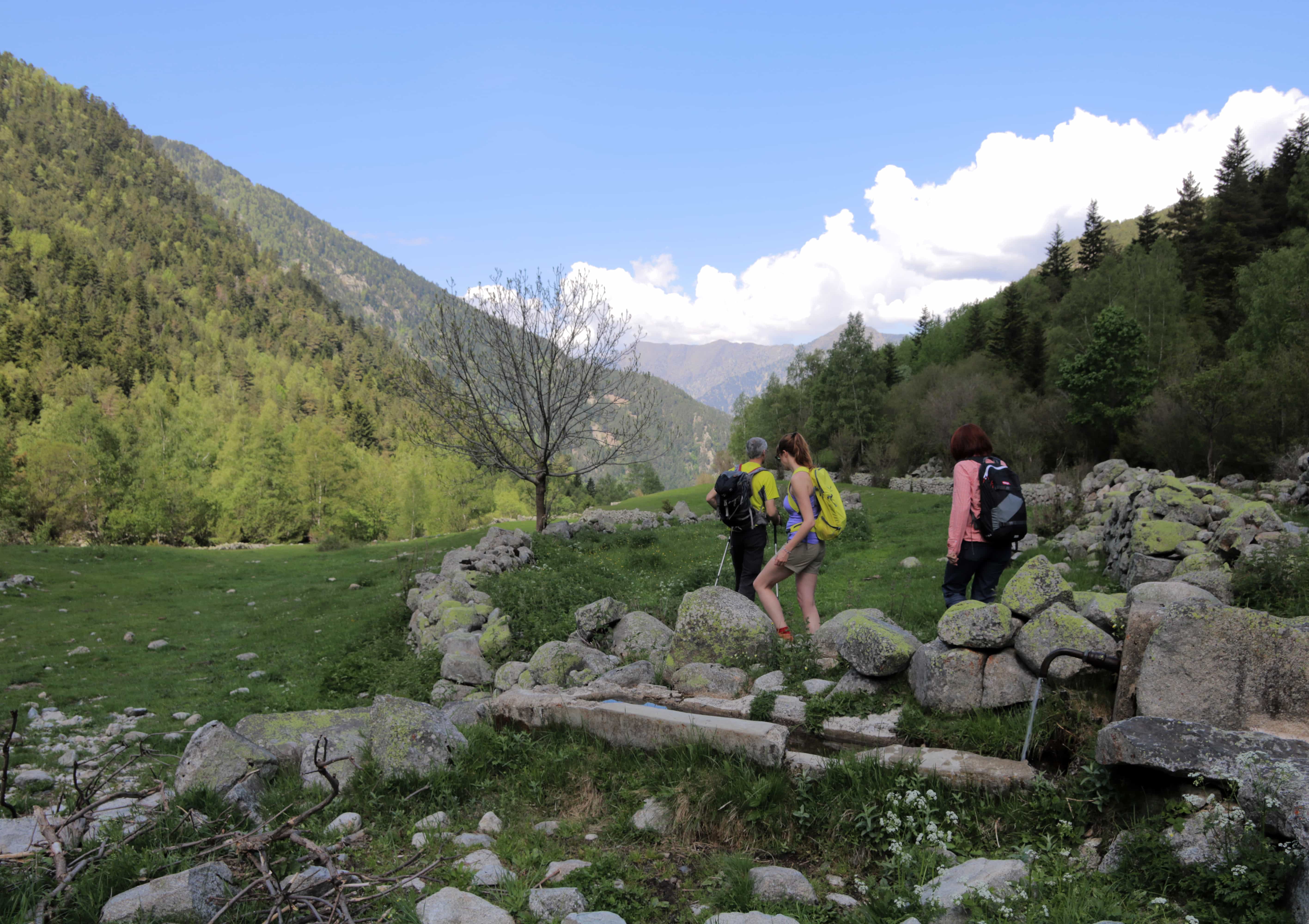 Drei Wanderer zwischen grünen Bergen und Steinen.