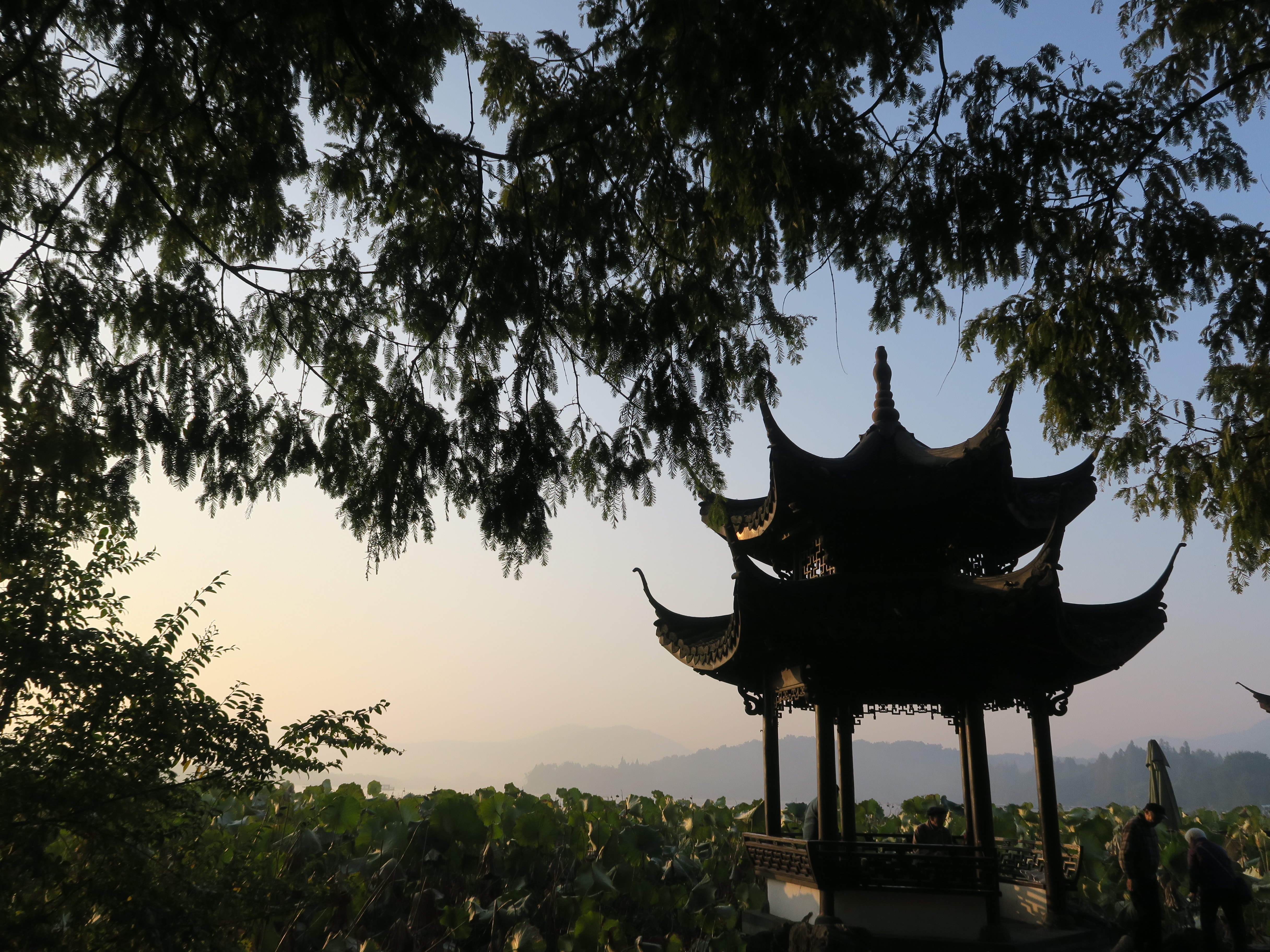 Pavillion bei Sonnenaufgang zwischen Bäumen