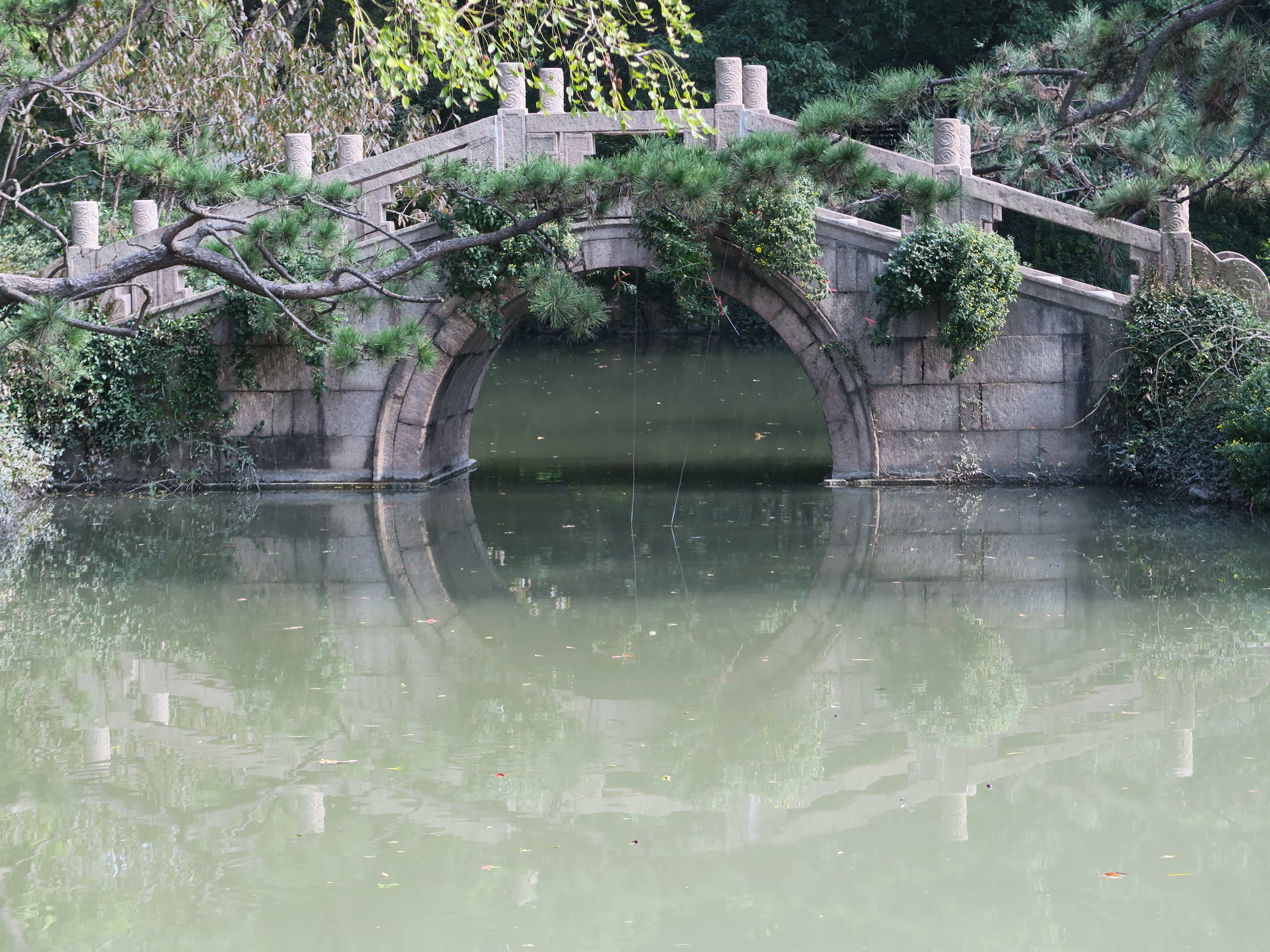 mysthischer grüner See mit kleiner Brücke und Kletterpflanzen