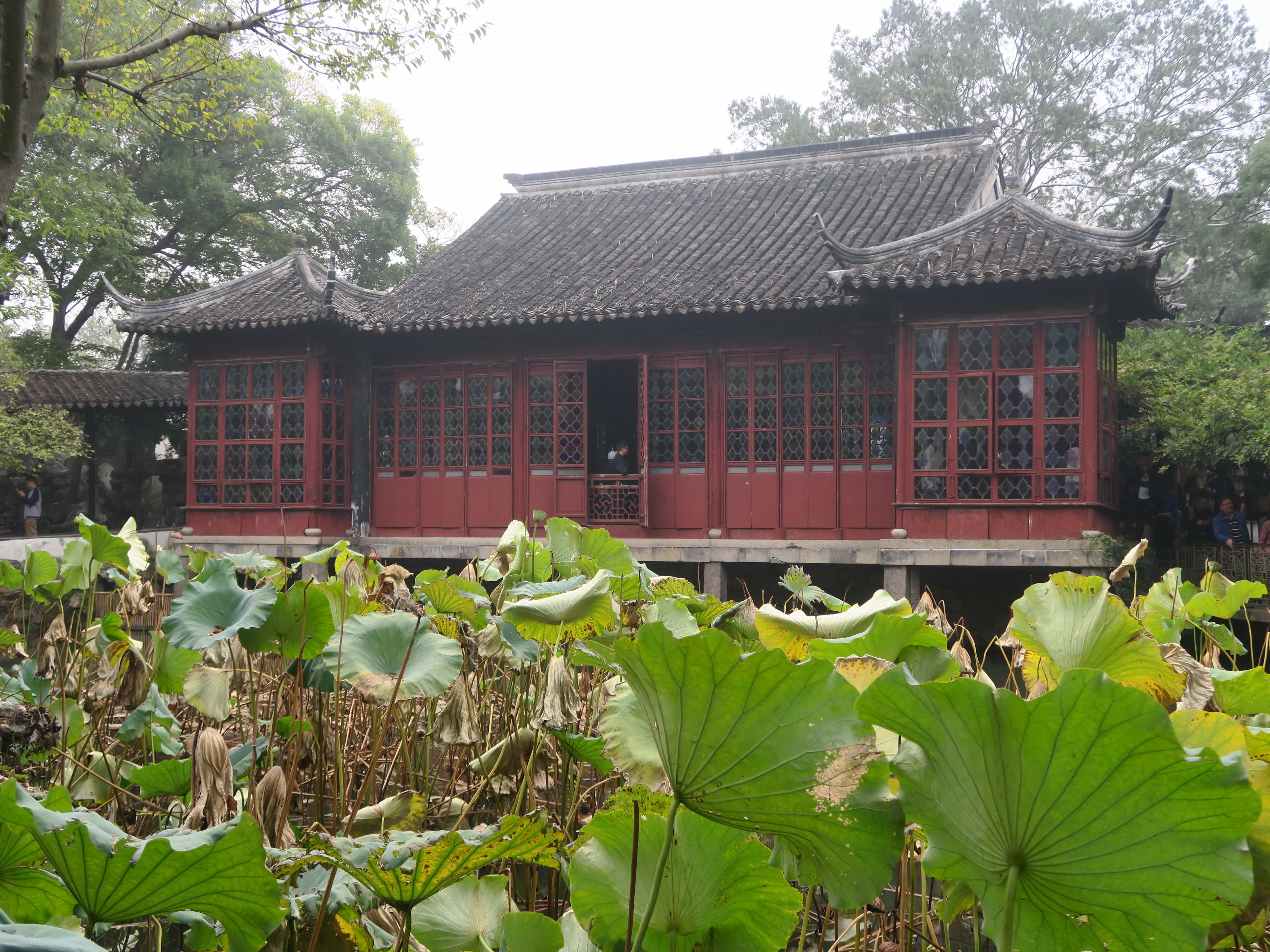 traditioneller, roter Pavillon vor Ginkoblättern in einem Garten in China
