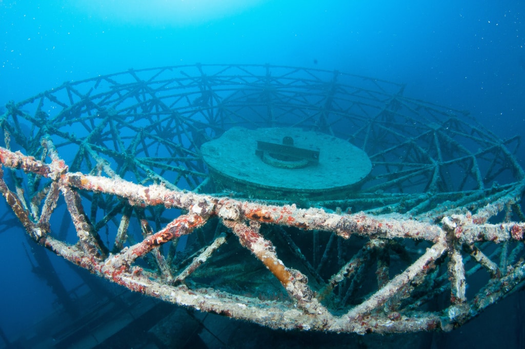 Vor der Küste Floridas wurde absichtlich ein Boot versenkt, um so ein künstliches Riff zu schaffen – mit Erfolg!