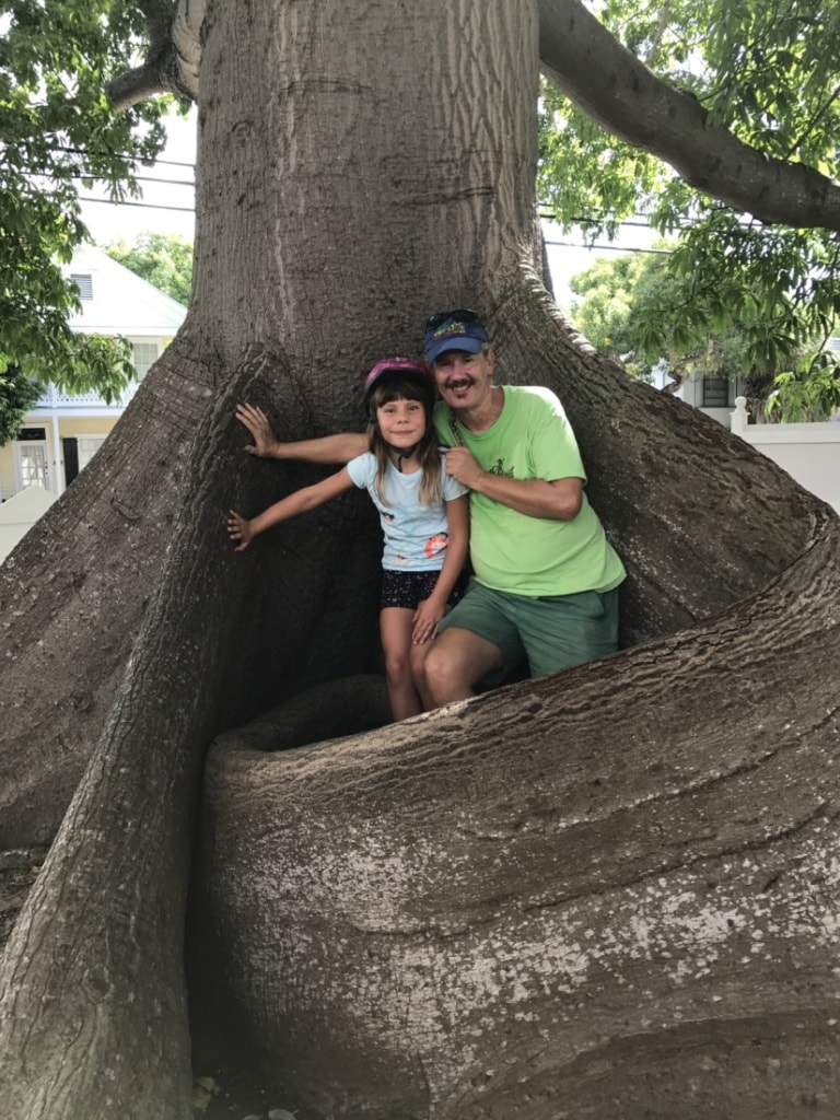 Eng umschlungen: Dieser Baum auf den Key West schreit nach einer Umarmung.