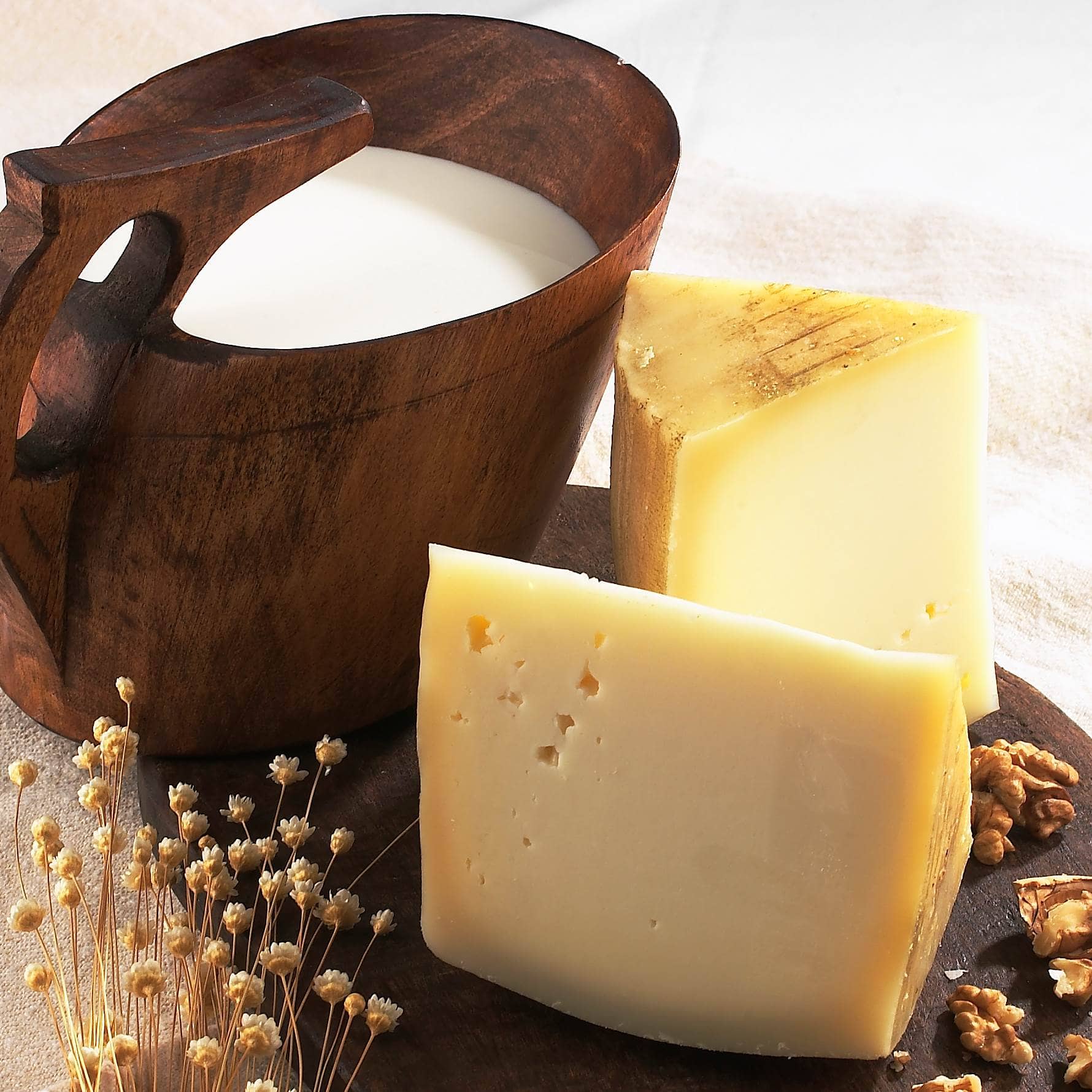 Käse aus Navarra