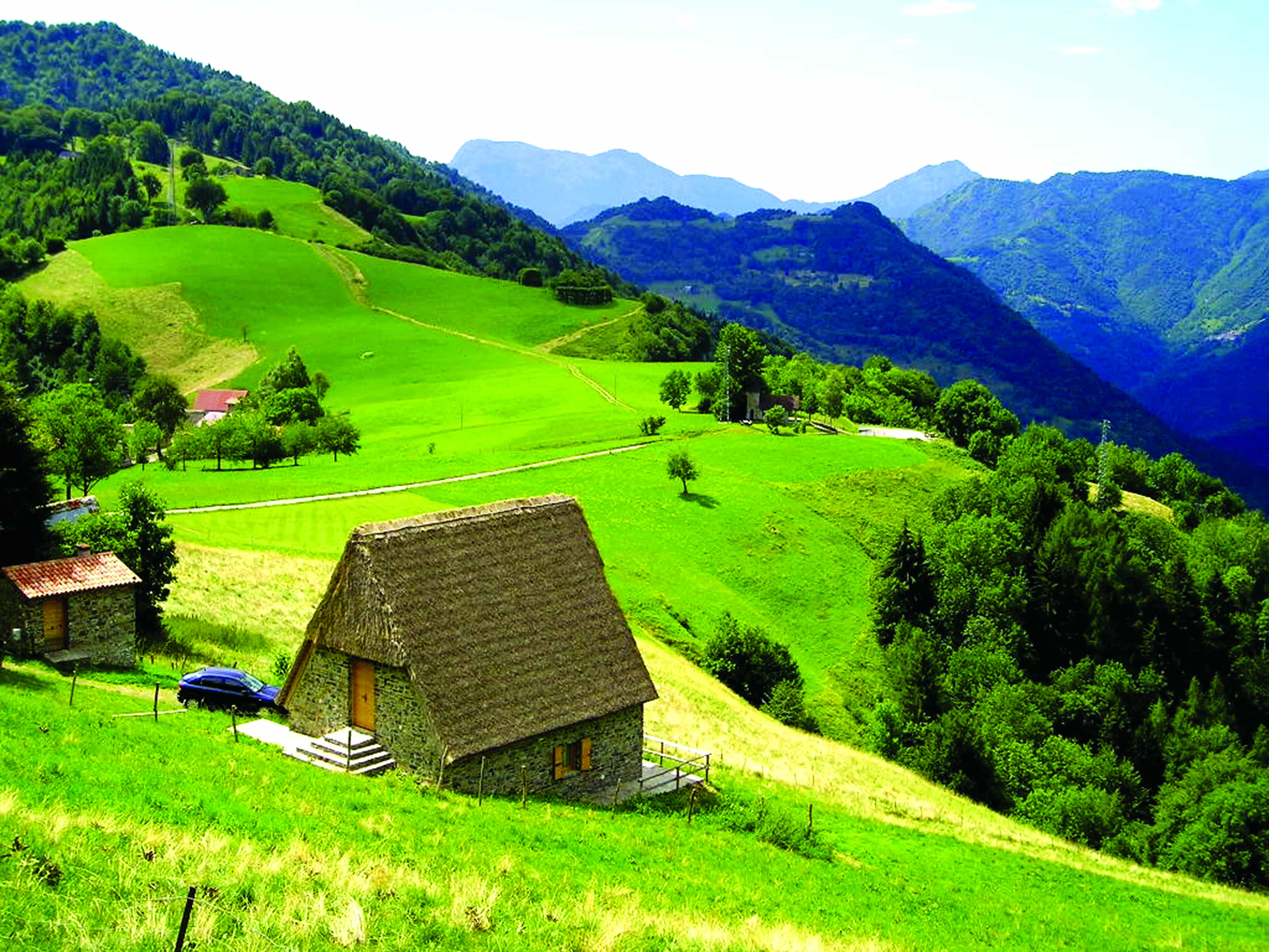 Sattgrüne Almlandschaft mit Bergpanorama