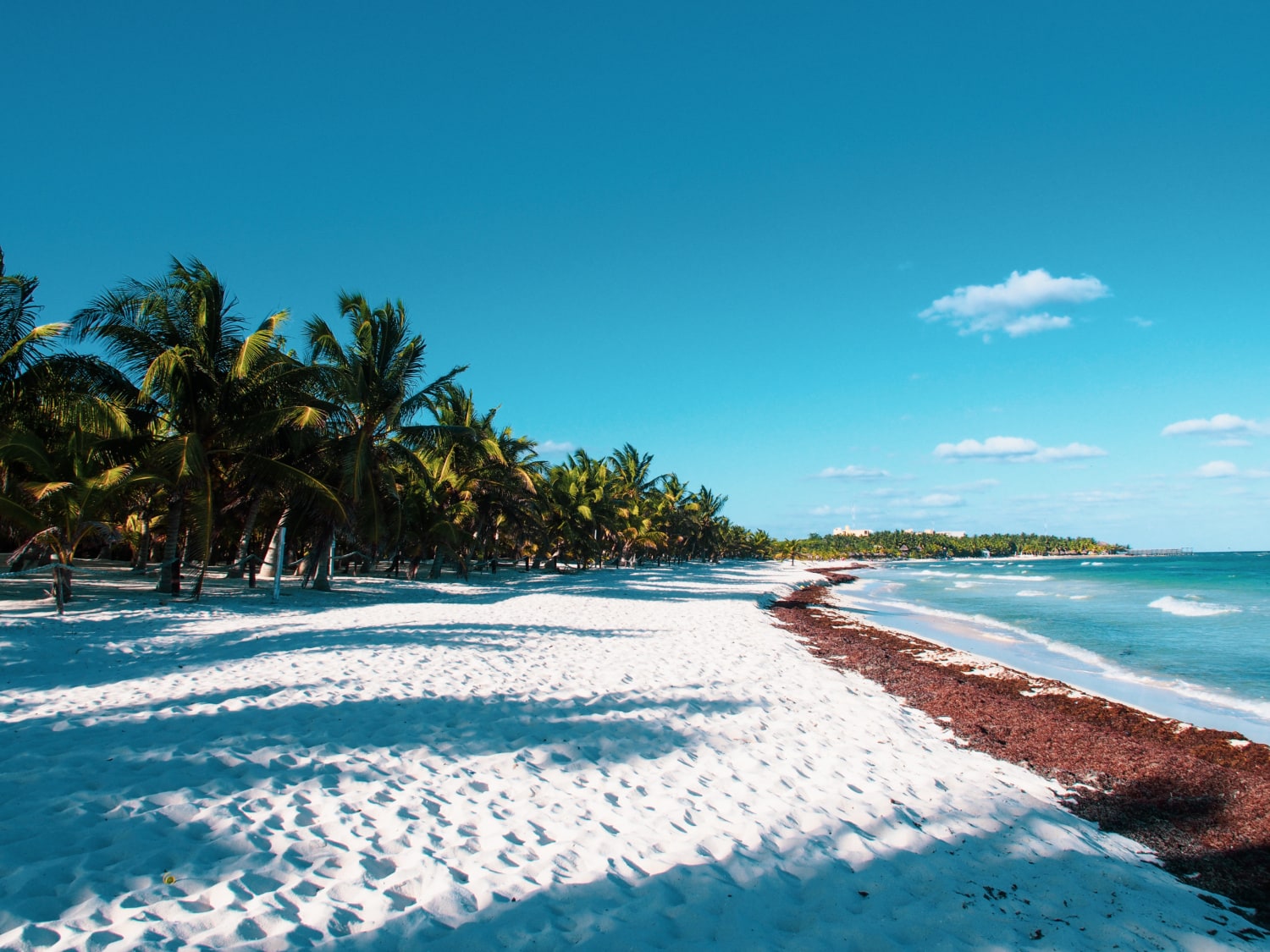Strand mit Algen an der Riviera Maya in Mexiko