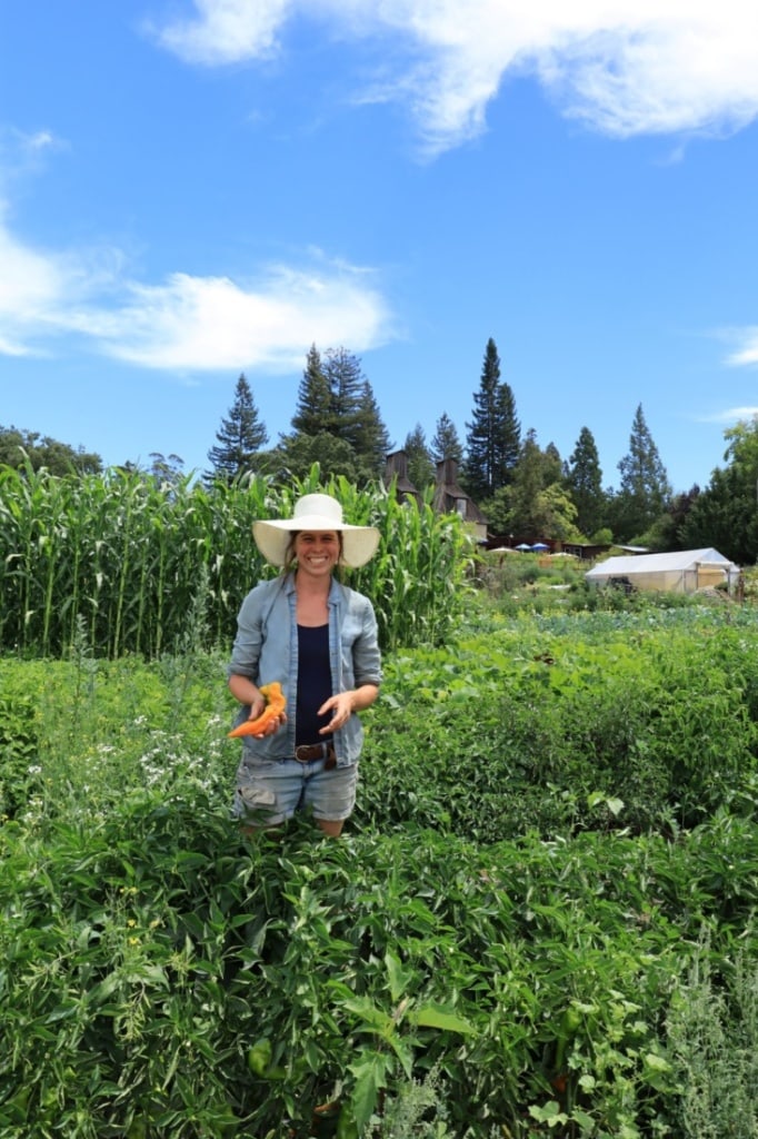 Farmerin in Sonoma County