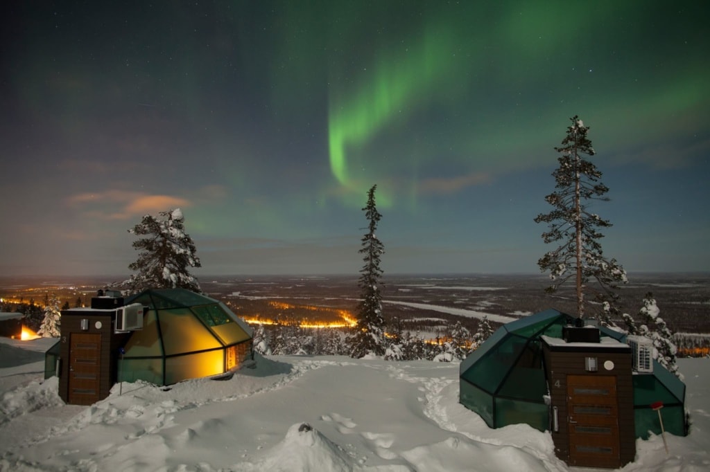 Golden Crown Levi Igloos