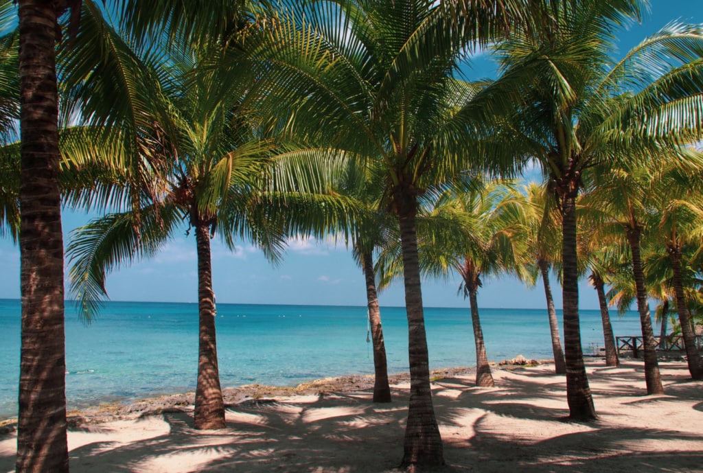 Strand mit Palmen in Yukatan