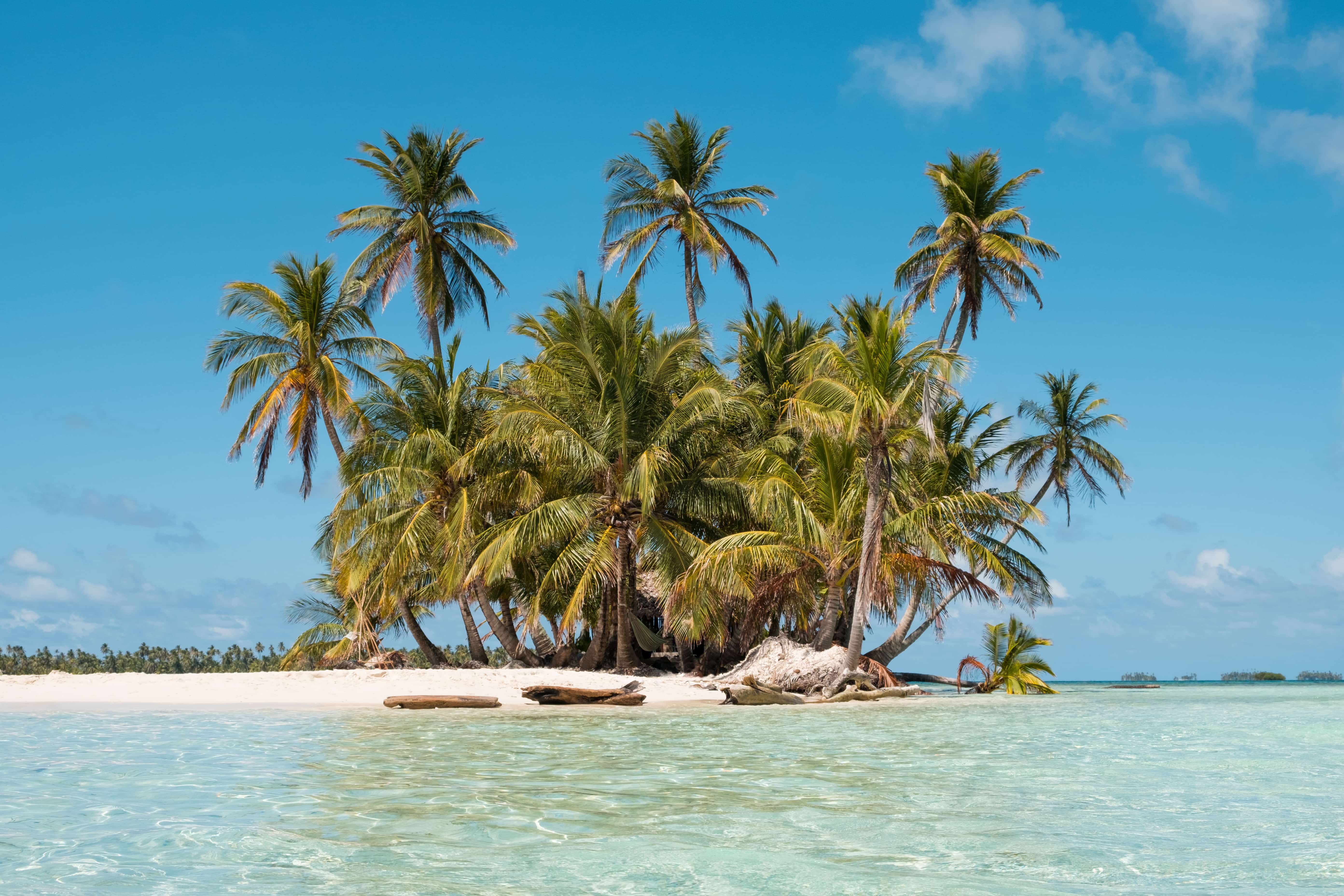Kleine Sandinsel mit Palmen und angeschwemmten Baumstämmen