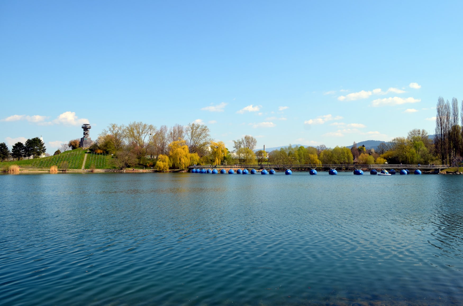 Blick auf den Seepark in Freiburg