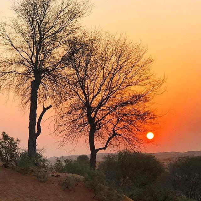 Sonnenaufgang in der Wüste von Ras al-Khai-ma. Aufgenommen von Reporterin @aspirinia. Hat sich das frühe Aufstehen ja gelohnt.
#reportervorort 
#RasAlKhaimah #VisitRasAlKhaimah