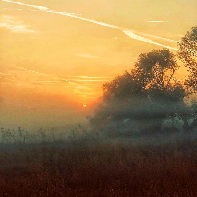 #Sunrise an einer Raststätte bei #Landau.  Es muss nicht immer die unendliche Weite sein. #Deutschland im Nebel. Foto von Chefredakteurin @fraumuksch #germany #roadtrip #welivetoexplore #traveldeeper #mytinyatlas