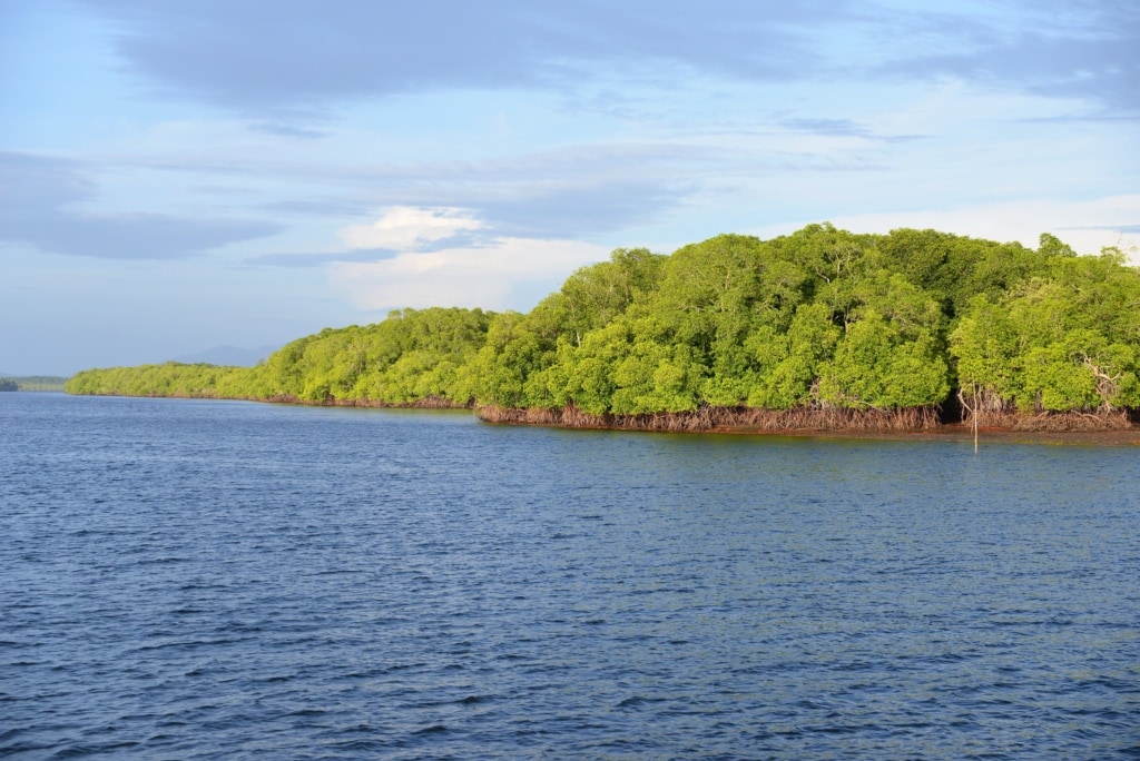 Jiquilisco-Bucht in El Salvador