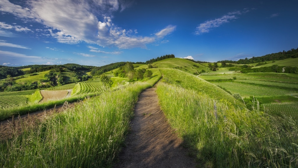 Vogtsburg,Landschaft