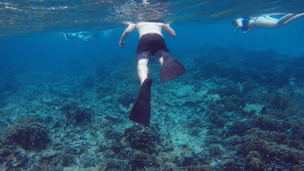Touristen beim Schnorcheln auf Aruba