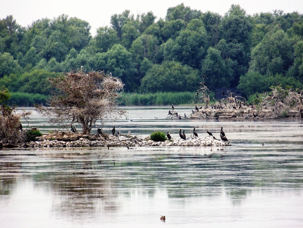 Nieuw Land Nationalpark