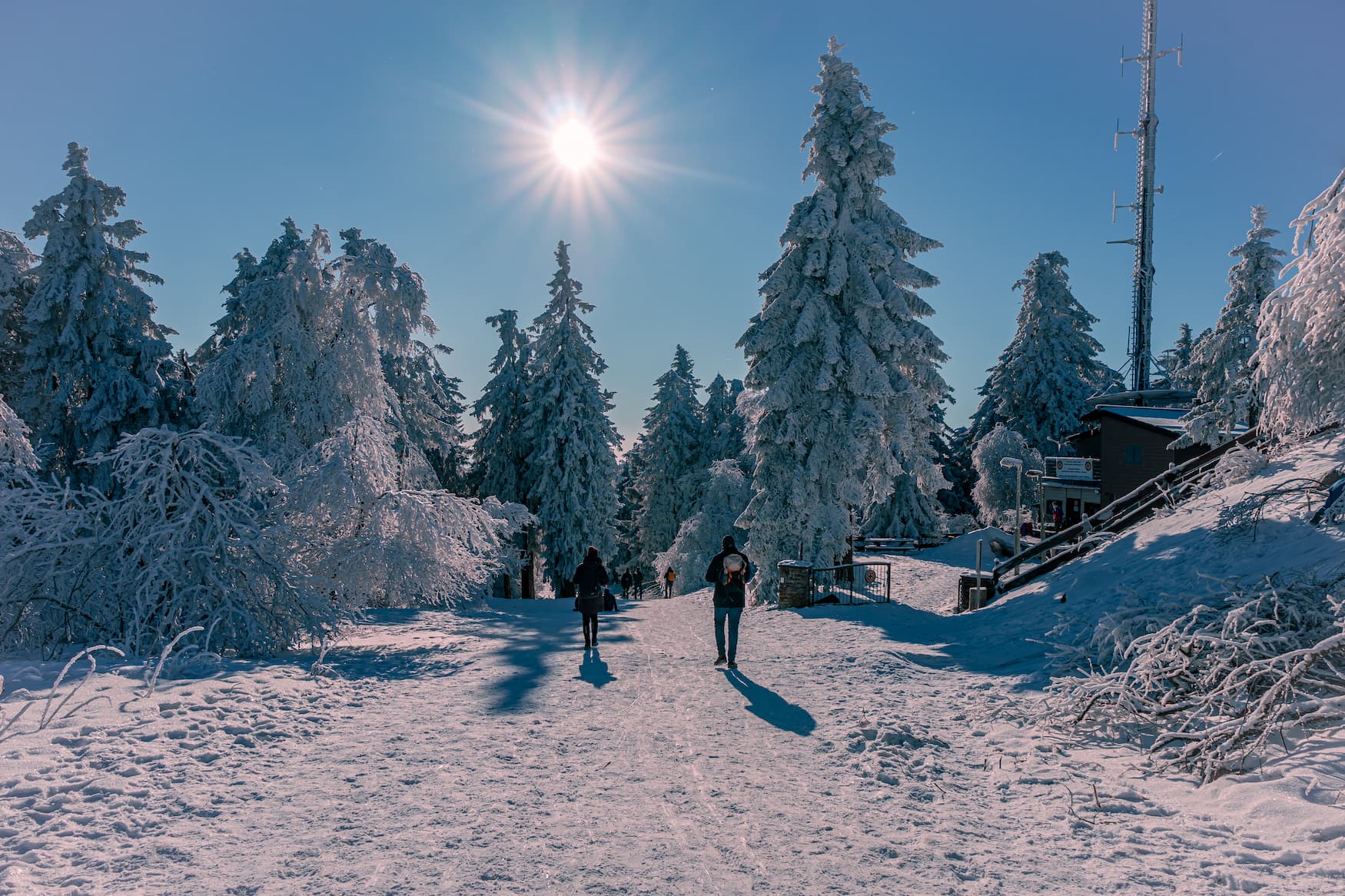 Verschneite Landschaften auf dem Großen Feldberg