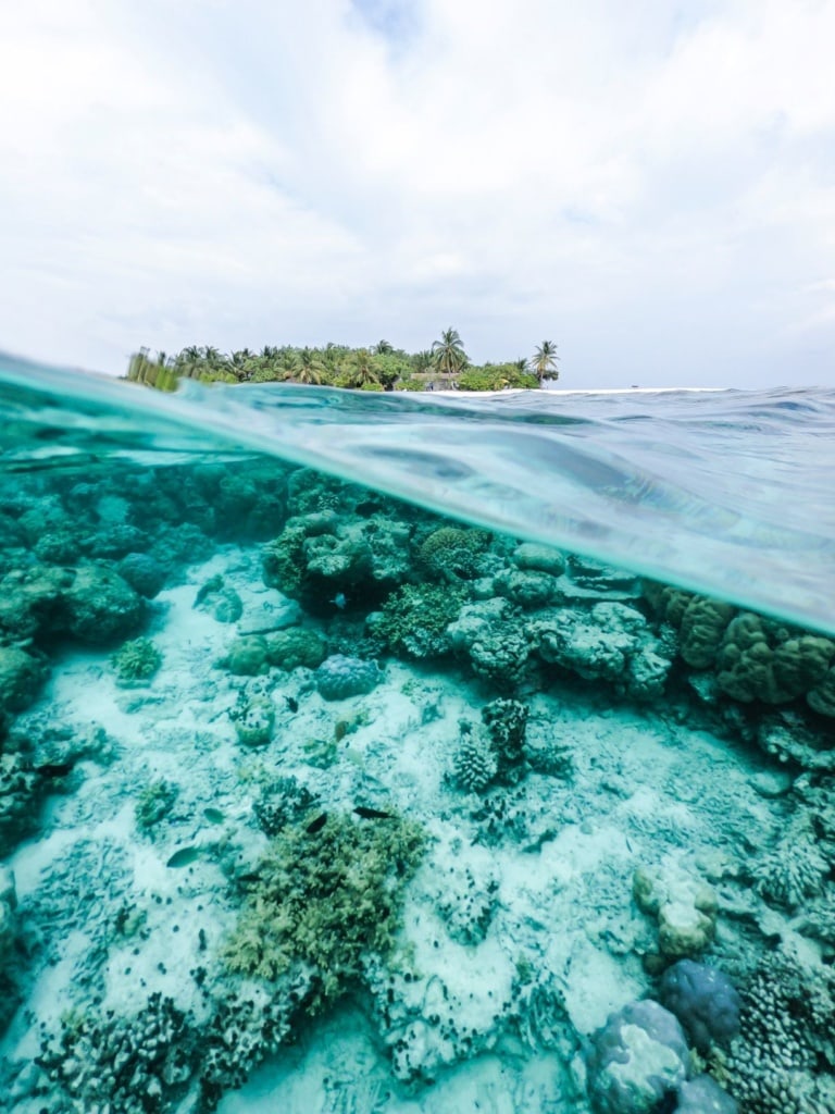 Foto mit Unterwasserperspektive, im Hintergrund Insel