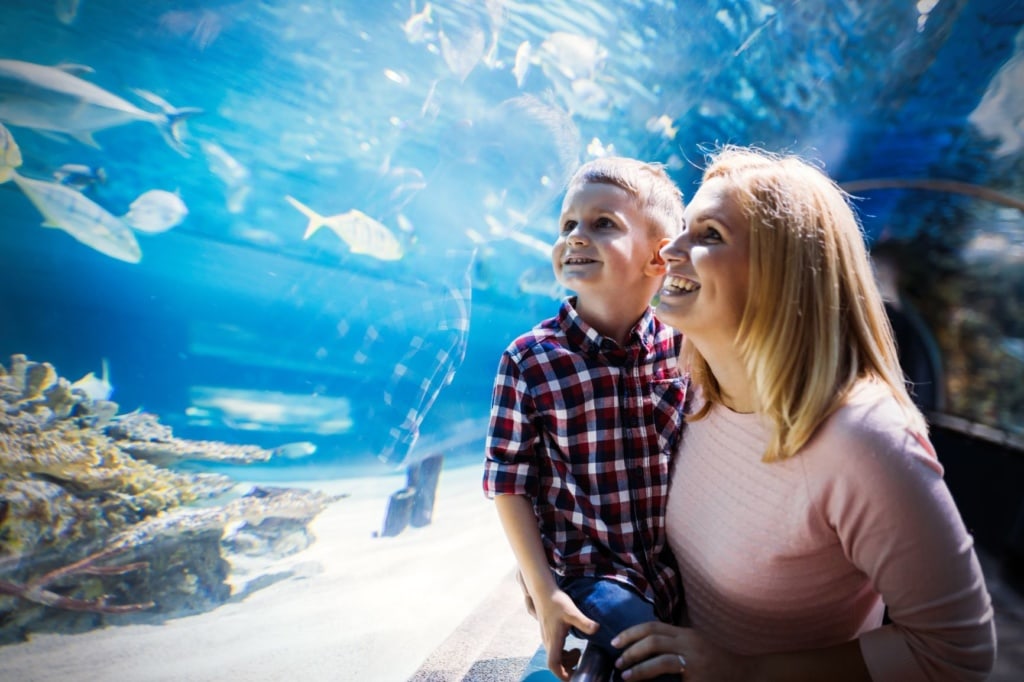 Mutter und Kind beim Bestaunen der Fische in Sealife