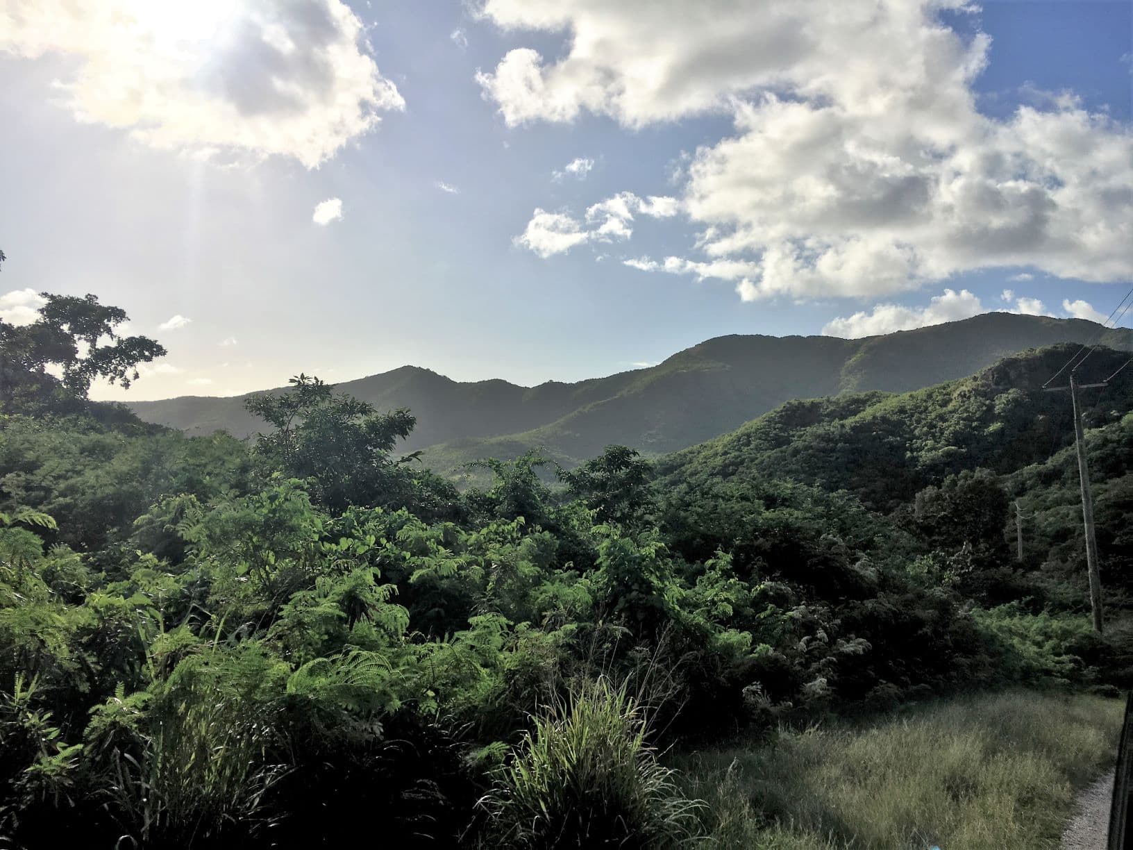 Regenwald in Antigua