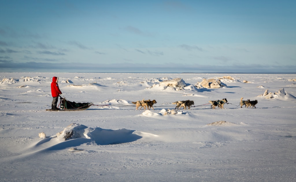 Redakteurin Marie sah nichts außer weiße Weite zu allen Seiten auf ihrer Huskytour durch Russland.