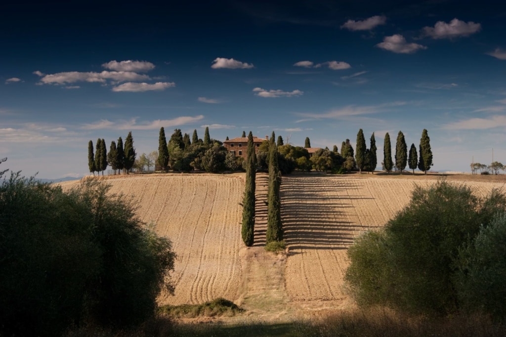 Landschaft in der Toskana