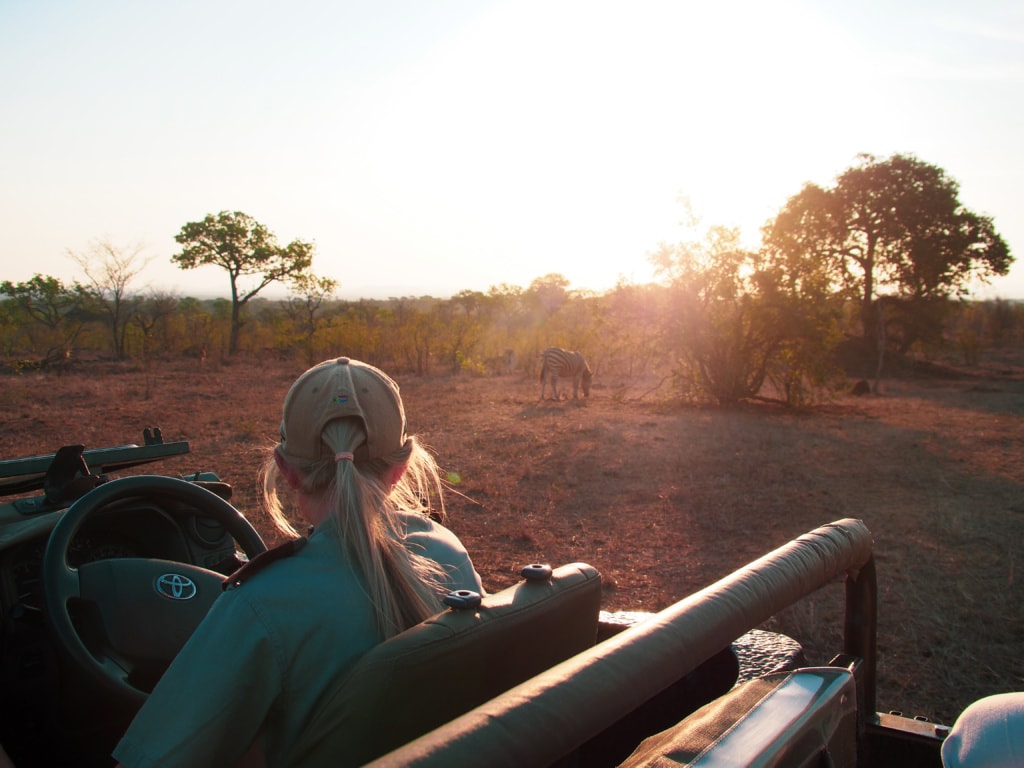 Im Hintergrund sieht man Zebras grasen, im Vordergrund die Rückseite von Guide Kerry-Lee