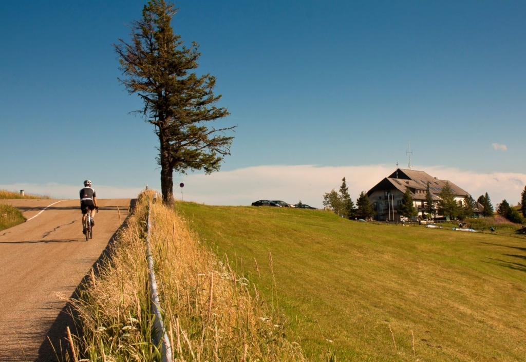 Fahrradfahrer im Schwarzwald