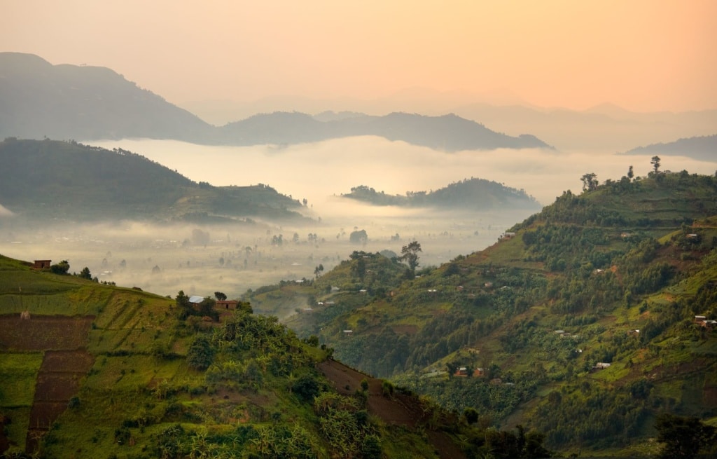 Wandern in Uganda: Mgahinga Gorilla National Park 