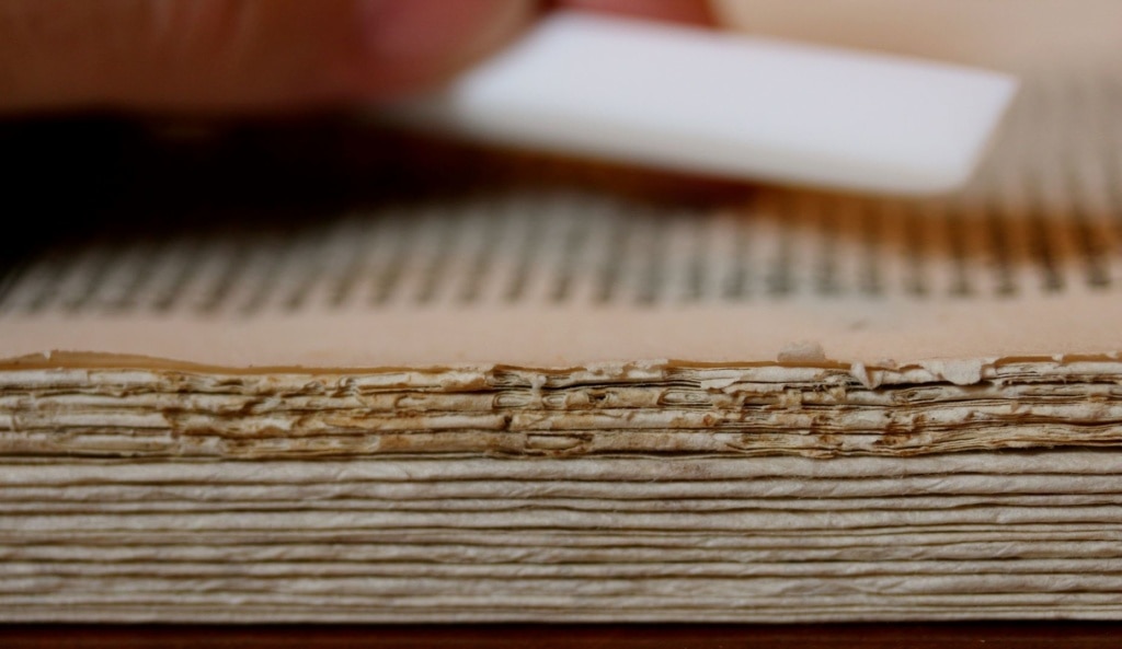 Altes Buch von Leonardo da Vinci