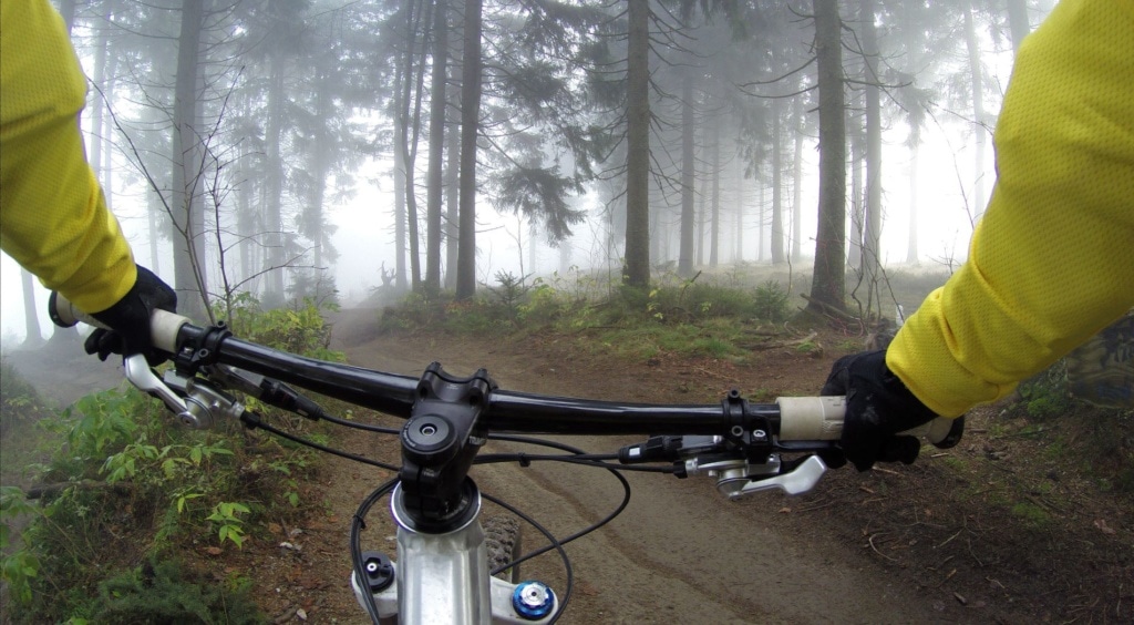 Person hält Lenkrad eines Mountainbikes im Wald