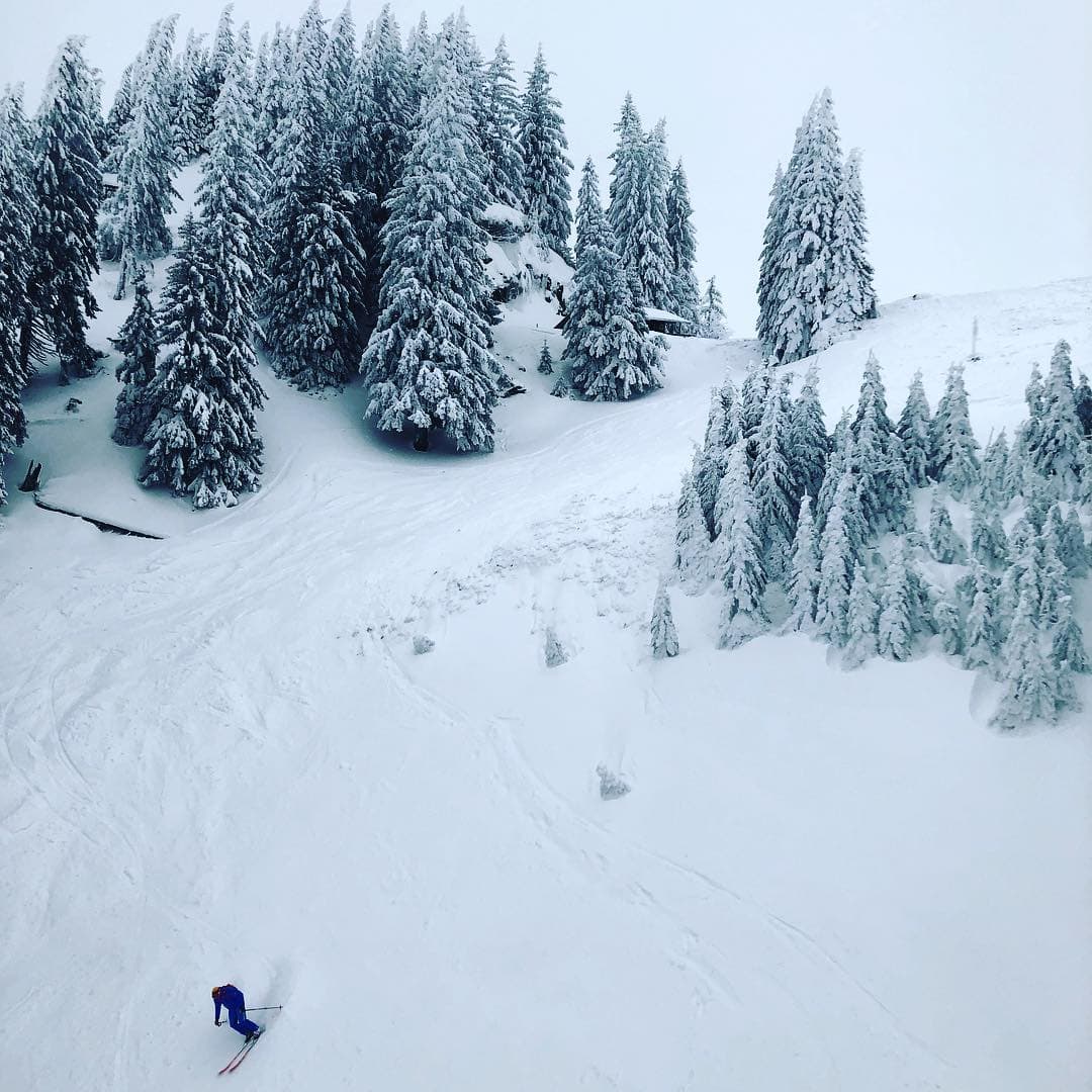 Einsam und allein auf der Piste am Wallberg zieht dieser Skifahrer seine Kurven. Fotografiert von @fraumuksch, die gerade in der Region am #Tegernsee verweilt.
#reportervorort #travelgram #passionpassport #welivetoexplore