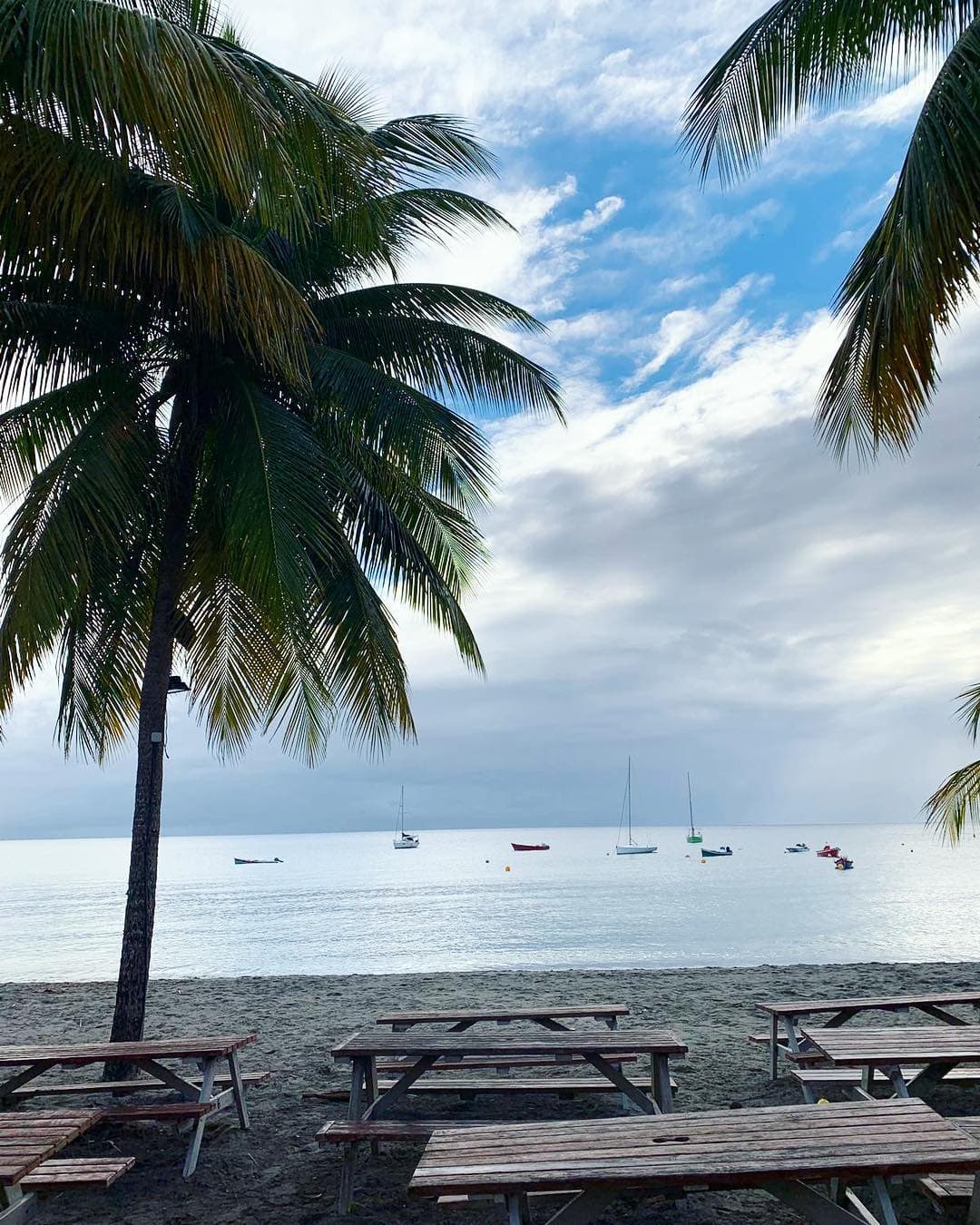 Für Autorin @aspirinia ging es gestern trotz Flugangst in die Karibik – und zwar nach Martinique. Diese Aussichten entschädigen doch glatt die lange Flugzeit, oder nicht? #reportervororr #martinique #travelgram #travel #passionpassport #mytinyatlas #islandlife #karibik