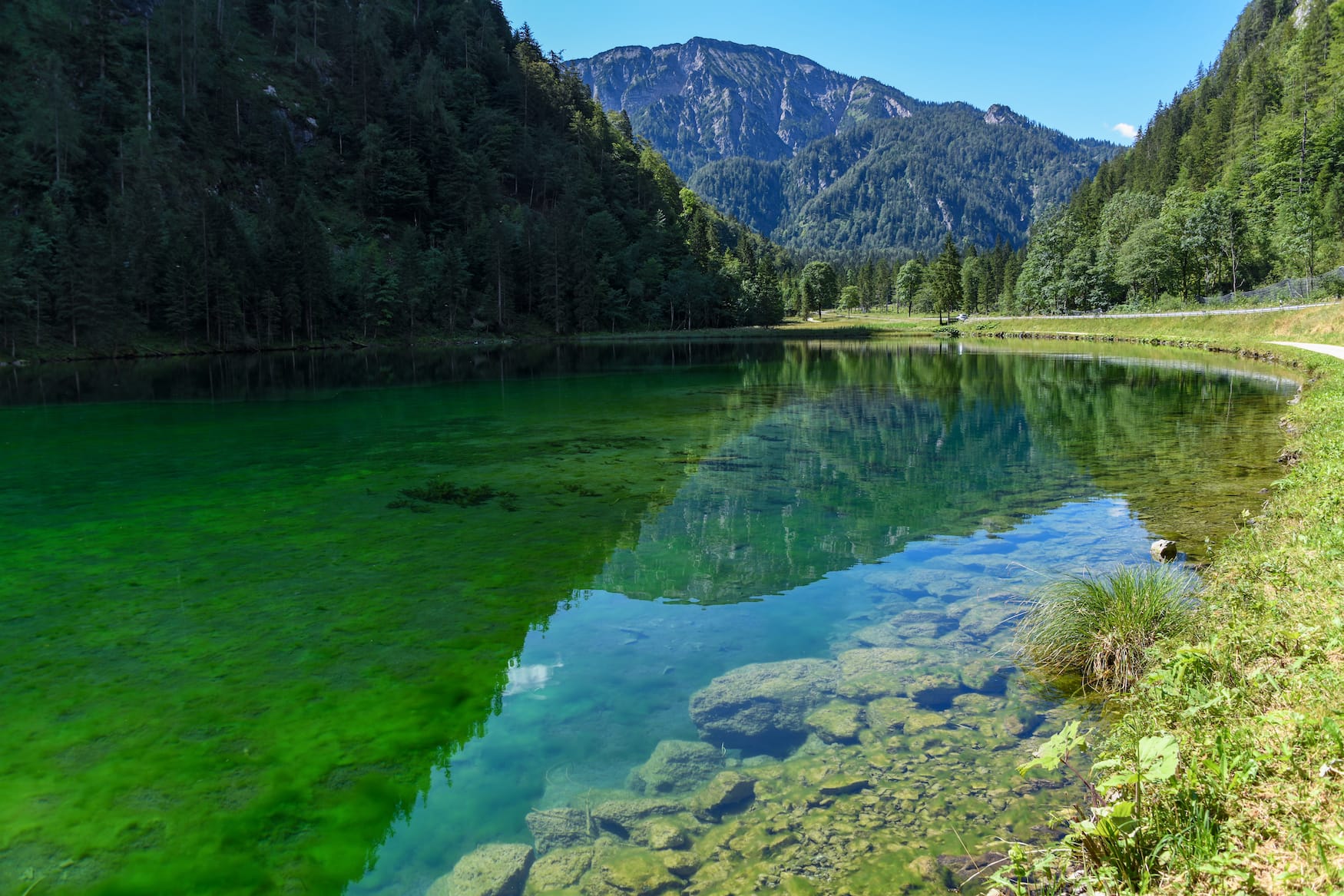 Förchensee in Bayern