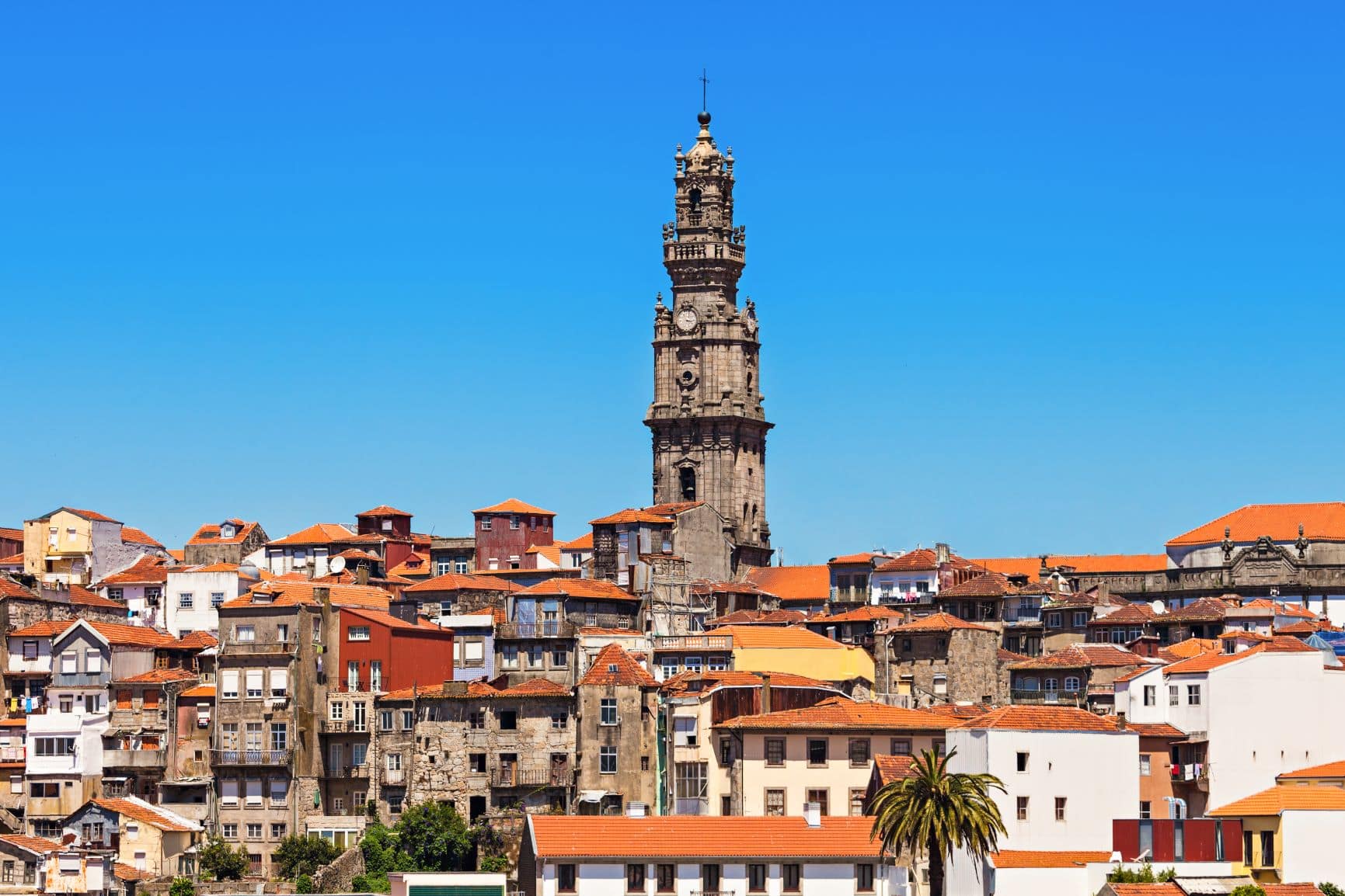 torre dos clérigos in porto