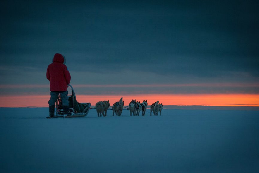 Tagelang durch eisige Kälte gleiten, das erwartet einen bei einer mehrtägigen Huskytour.