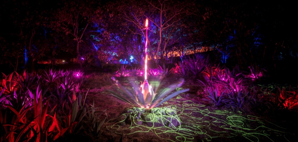 Photosynthese nennt sich diese Kunstinstallation beim Porlwi Festival auf Mauritius.