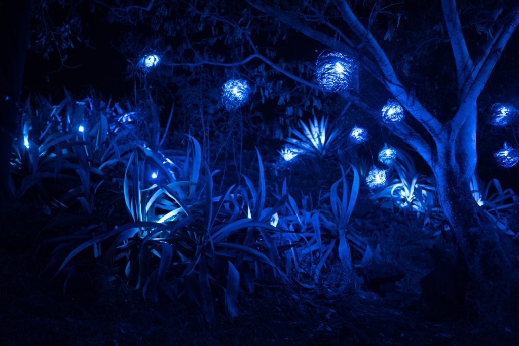 Nachts blüht es blau – beim Porlwi Festival auf Mauritius.
