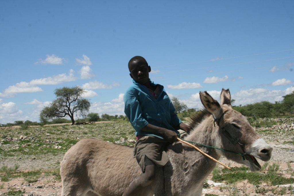 Nicht selten begegnet man in Namibia Menschen auf Eseln.