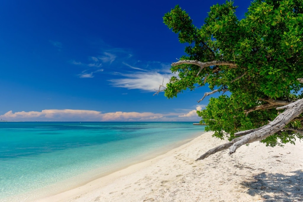 Strand im Dry Tortugas Nationalpark in Florida