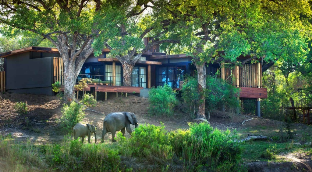 Elefanten vor der andBeyond Tengile River Lodge