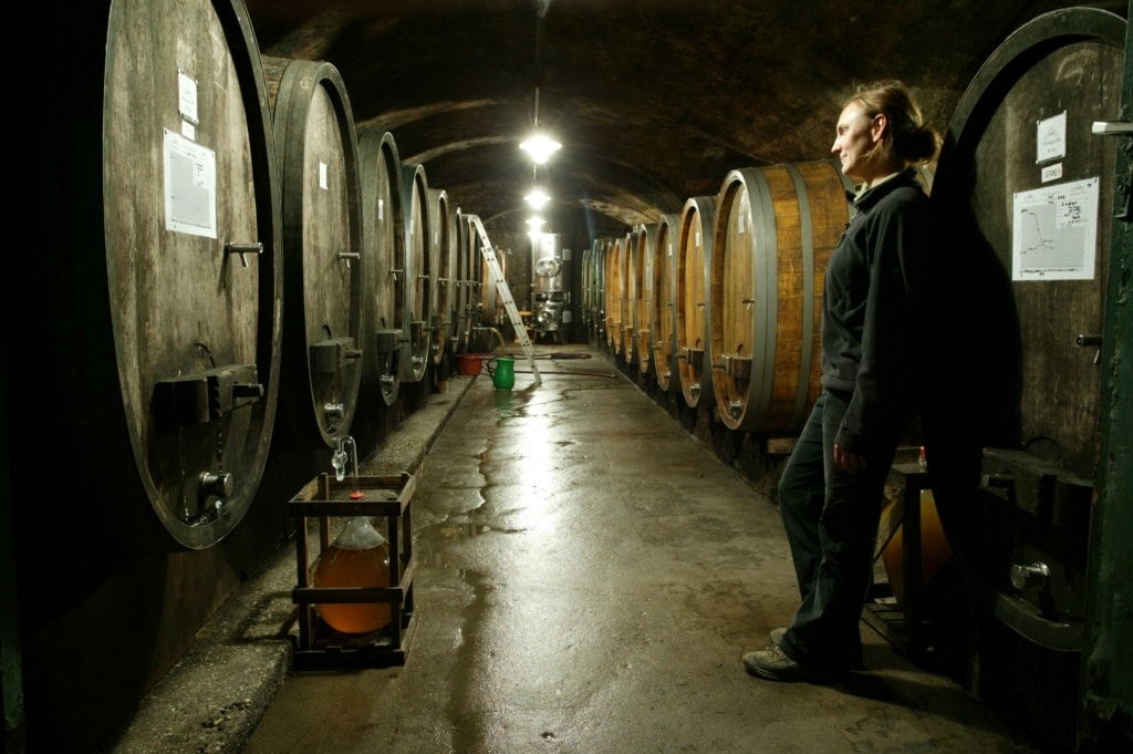 Frau im Schlosskeller des Weingut Diel