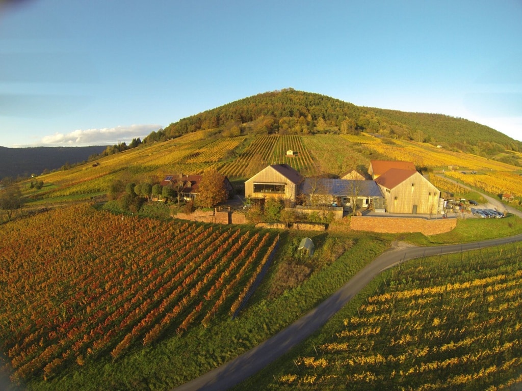 Weingut Rudolf Fürst im Centgrafenberg