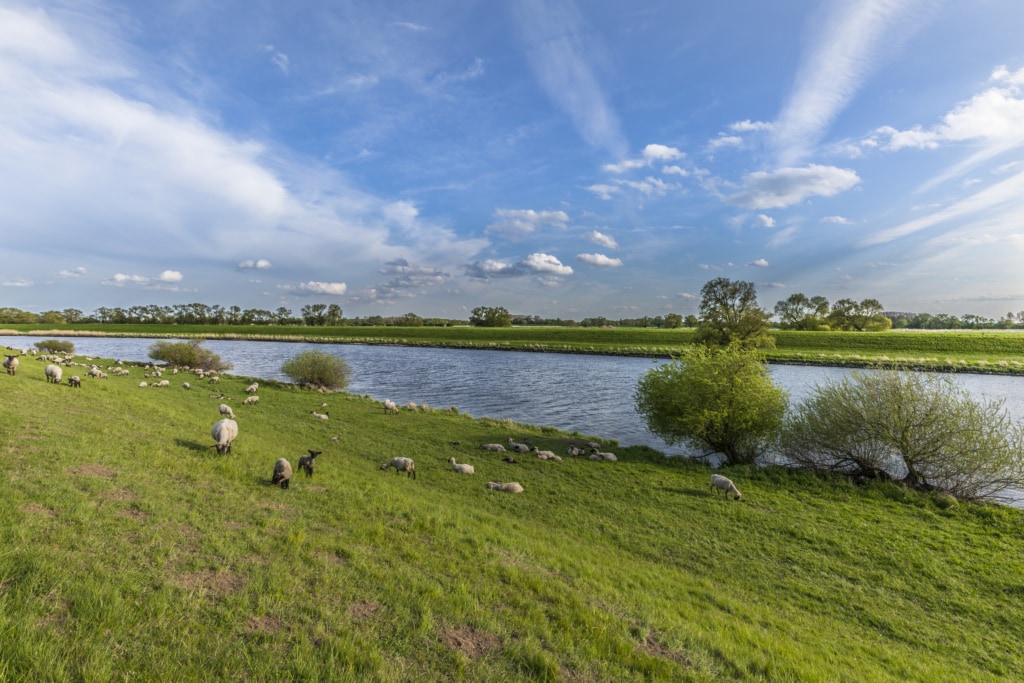 Elbe bei Rühstädt in der Prignitz.
