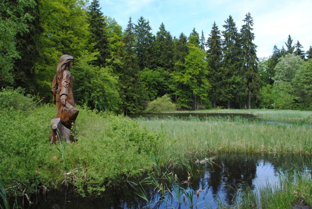 Frau-Holle-Teich in Nordhessen