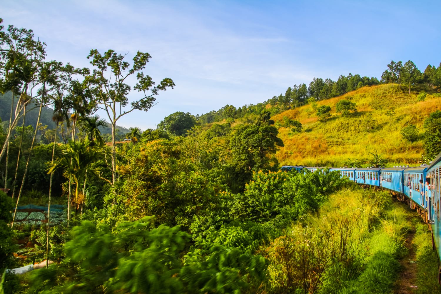Blick aus dem Fenster während der Zugfahrt von Kandy nach Ella